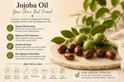 Jojoba Oil: Your Skin's Best Friend