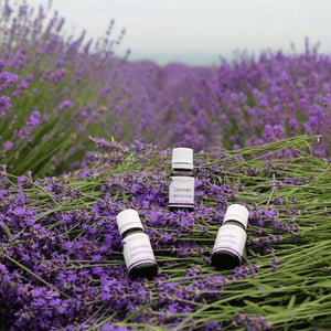 Lavender Oil for Restful Sleep and Healthy Skin