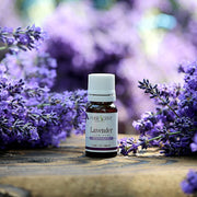 Huile essentielle de lavande